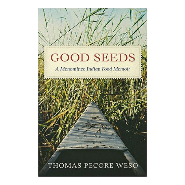 Good Seeds book cover featuring image of point of view in a canoe