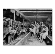 Black and white photo from 1930 showing a line of cows eating in a barn while a band of horn players "serenades" them.